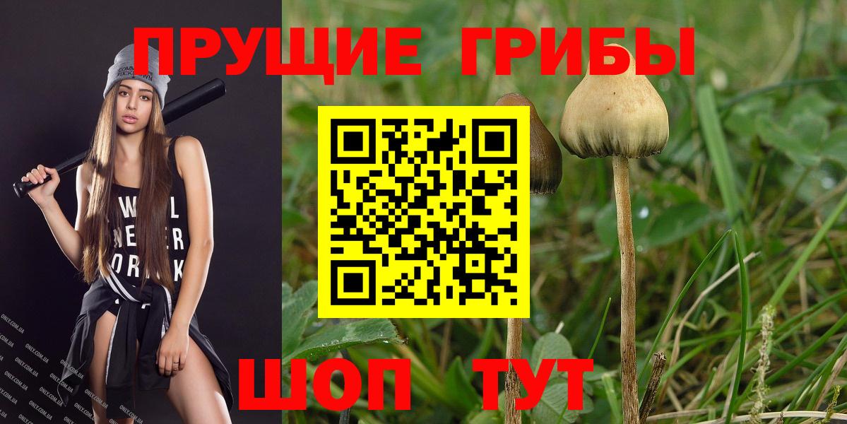 Галлюциногенные грибы MAGIC MUSHROOMS Ярцево