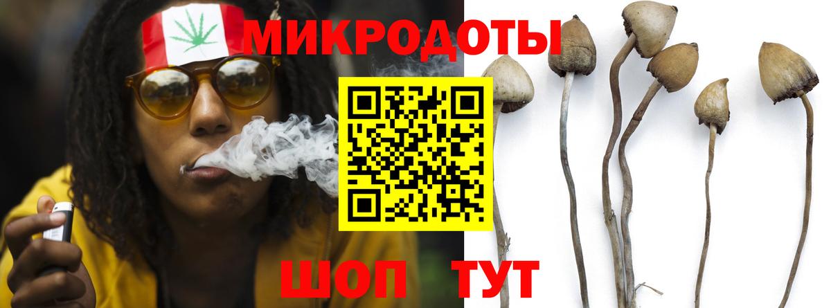 Ярцево  Псилоцибиновые грибы MAGIC MUSHROOMS  Вход с VPN 